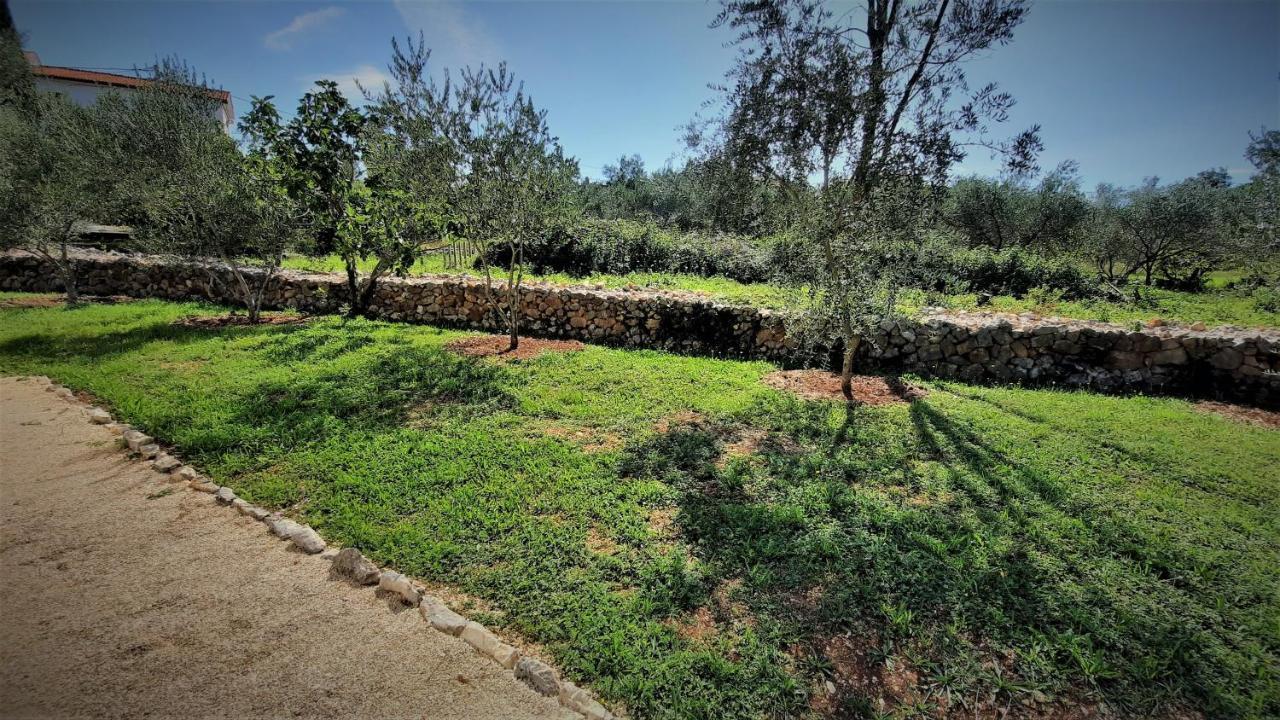 Sveti Ivan Dobrinjski Holiday House Vela Vrta מראה חיצוני תמונה