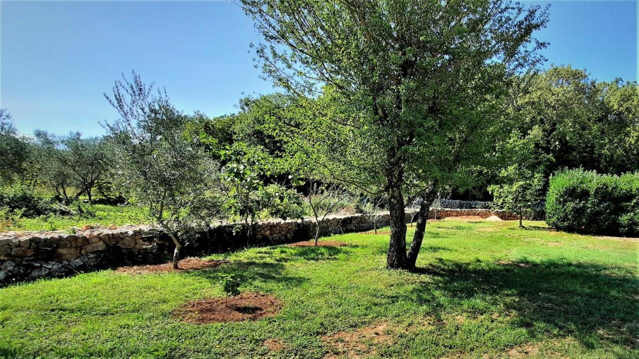 Sveti Ivan Dobrinjski Holiday House Vela Vrta מראה חיצוני תמונה