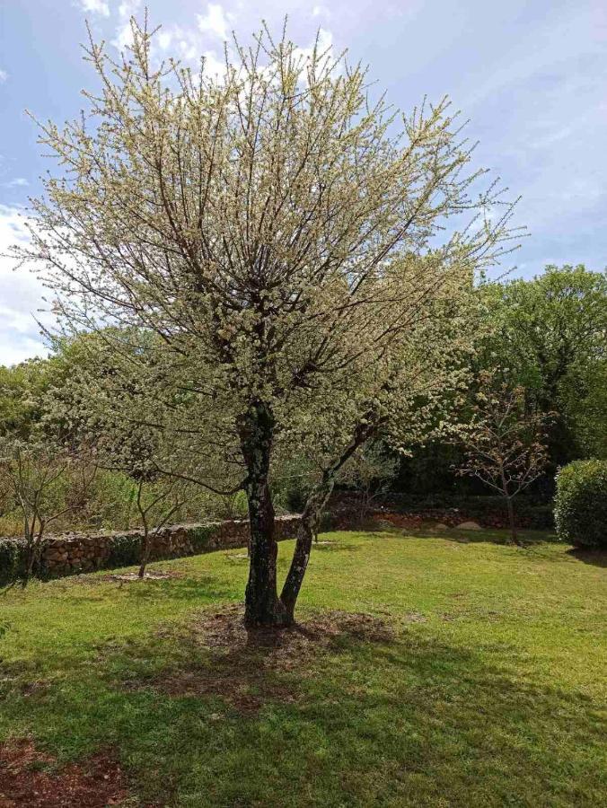 Sveti Ivan Dobrinjski Holiday House Vela Vrta מראה חיצוני תמונה