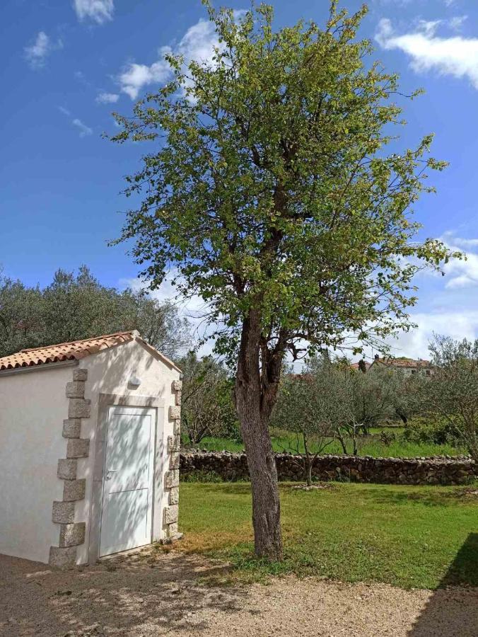 Sveti Ivan Dobrinjski Holiday House Vela Vrta מראה חיצוני תמונה