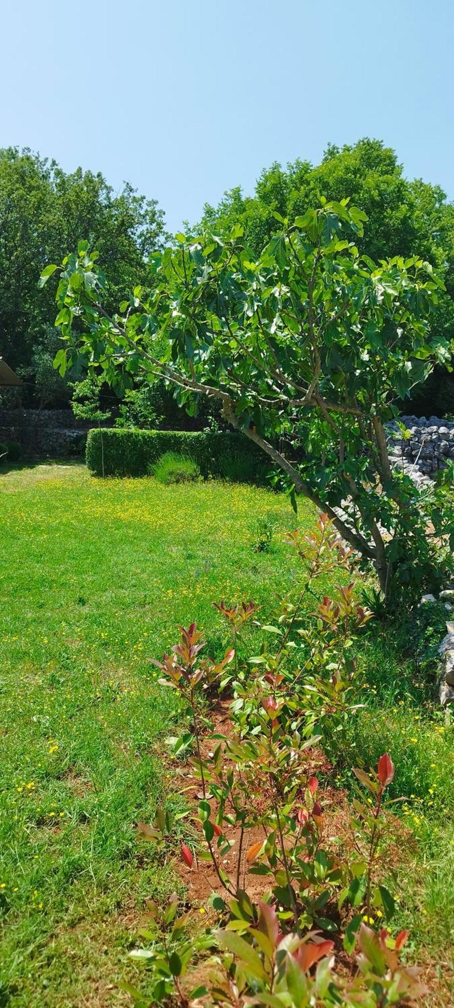 Sveti Ivan Dobrinjski Holiday House Vela Vrta מראה חיצוני תמונה